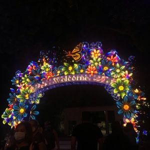 Meet your Posher, Ann